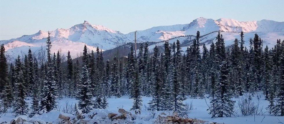 Denali Touch Of Wilderness B&B 希利 外观 照片