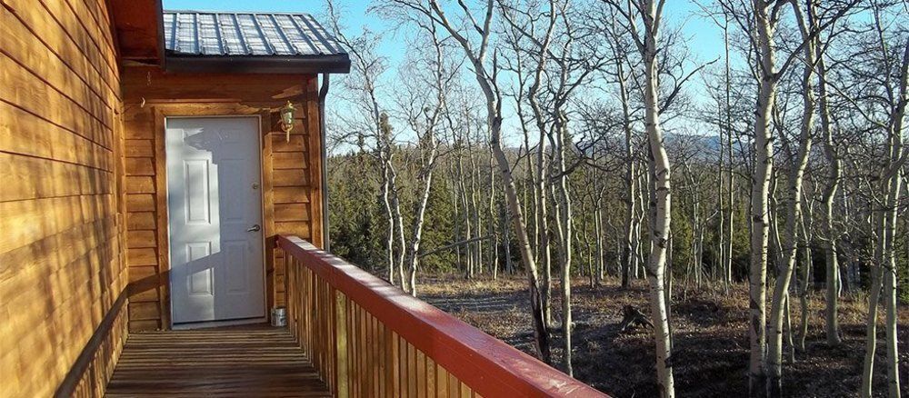 Denali Touch Of Wilderness B&B 希利 外观 照片